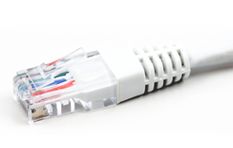Netzwerkkabel